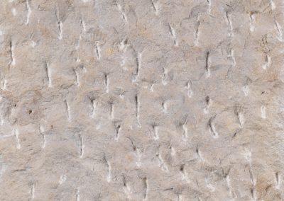 Dietfurter Kalkstein gala® бежевый, ручная обработка