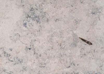 Юрский известняк серый, шлифованный